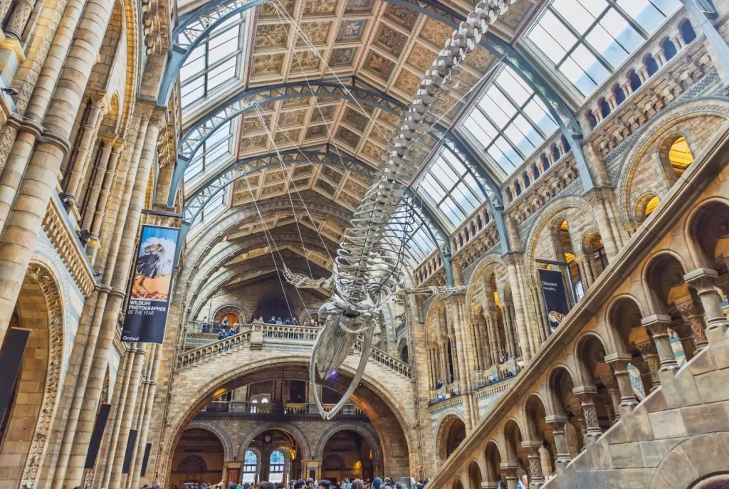 Natural History Museum 中央広場の眺め 